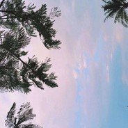 性感在线林品如