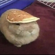 sami - steam id 76561198395011212