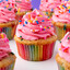 Cupkake