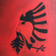 pizhi