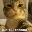 *********** xxx-xxx