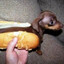 HotDog_Phantom