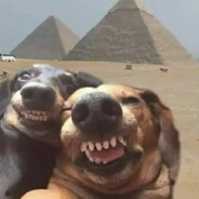 麻烦看清自己的实力再