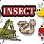 INSECT