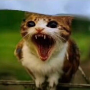 печально известный