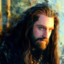 oakenshield