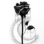 Black.Rose