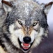 Siberian