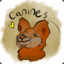 Canines