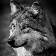 Alex_BMW_1990