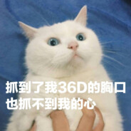 屌丝橘子超绝可爱