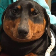 ФалосоИнатор 3000