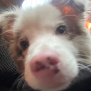 我能打上海major？