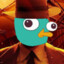 Perry platypus