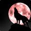 EXP WOLF
