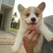 你大爷还是你大爷