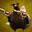 FullMute<3