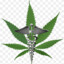 Snaps420&quot;)