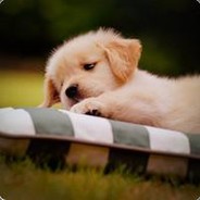 有缘无分祈来生