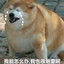 走的很安详