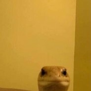 tu.mamita.es.una.santa