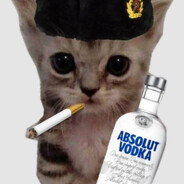 Absolut vodka