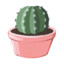 Splashy_Cactus