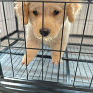 你的鸡鸡要爆炸