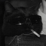 sir.meow