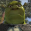Shrek