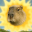 Avatar of Capybara