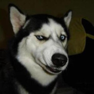 3000年不会做饭的老阿影