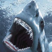 『LiQr』 Tshark