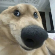 极品微胖马嘉祺