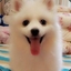 吃