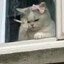 Minhaauuuuu