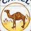 Camel Cigarettes