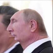Vladimir Fannar avatar