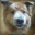Goodest_Doggo