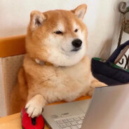 大明战神——李景隆