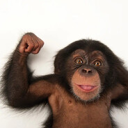 StrongMonkey69