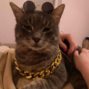 k - steam id 76561198815264675