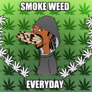 SHORTI (gruby to pedal)