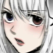 满船清梦压星河NZZ