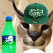 spirte