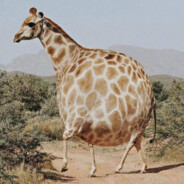 我是倪妮 - steam id 76561199194480023