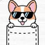Pocket Corgi