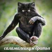 стас нам задонати