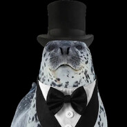 Dapper Seal