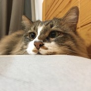Big Avatar